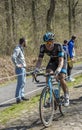 The Cyclist Salvatore Puccio in The Forest of Arenberg- Paris Roubaix 2015 Royalty Free Stock Photo