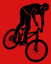 Cyclist silhouette Royalty Free Stock Photo