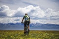 A cyclist travels in the mountains among flowering fields Royalty Free Stock Photo