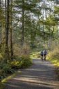 Cyclists on bicycles ride along a winding forest path