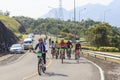 Cyclists compete in the Khao Sok marathon