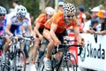 Cyclists compete at the Tour Down Under.