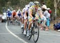 Cyclists compete at the Tour Down Under.