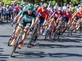 Cyclists compete at the Tour Down Under. Royalty Free Stock Photo