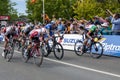 Cyclists compete at the Tour Down Under. Royalty Free Stock Photo