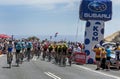 Cyclists compete at the Tour Down Under. Royalty Free Stock Photo