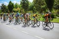 Cyclists competing Royalty Free Stock Photo