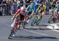 Cyclists compete at the Tour Down Under. Royalty Free Stock Photo