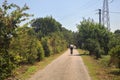 Cyclists on a gravel road in the italian countryside on a summer day Royalty Free Stock Photo