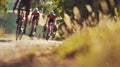 Cyclists in motion during a race on a rural road, surrounded by the golden hues of a sunlit countryside landscape Royalty Free Stock Photo