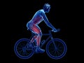a cyclists muscles Royalty Free Stock Photo