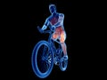 a cyclists muscles Royalty Free Stock Photo