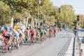 Cyclists racing in Istanbul Stage of 53rd Presidential Cycling Tour of Turkey