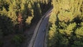 Cyclists ride along an empty road in a wooded area, aerial view, Top Down View