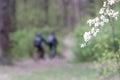 Cyclists ride in the forest. Royalty Free Stock Photo