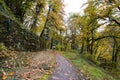 Cyclists on road in autumn forest with fallen leaves Royalty Free Stock Photo
