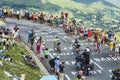 Cyclists on the Road of Le Tour de France