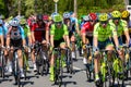 Cyclists during the second stage of Giro d'Italia 2016