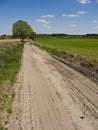 Cyclists in spring or summer dirt path Royalty Free Stock Photo