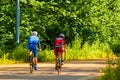 Cyclists train on a forest road with sports bikes. Athletic men in helmets ride a bicycle on the road. Back view on professional