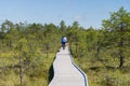 Cyclists on wooden hiking trail of bog area Royalty Free Stock Photo