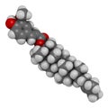 Cycloartenyl ferulate or oryzanol A molecule. Major component of gamma-oryzanol rice bran oil. 3D rendering. Atoms are Royalty Free Stock Photo