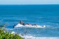 Cyclone Cody large waves and swells rolling in from horizon at Mount Maunganui