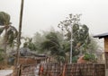 Cyclone strom winds palm trees, thunderstorm India, Assam,