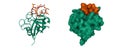 Structure of cyclophilin A (green) complexed with immunosuppressant cyclosporin (brown)