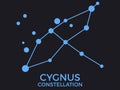 Cygnus constellation. Stars in the night sky. Cluster of stars and galaxies. Constellation of blue on a black background. Vector