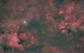 Cygnus region of space with north american nebula and h alpha gasses in the night sky Royalty Free Stock Photo