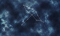 Cygnus Star Constellation, Night Sky Swan constellation, Northern Cross Royalty Free Stock Photo