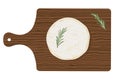 Fresh cylinder of camembert de Normandie cheese with rosemary on a wooden cutting board, top view. Vector illustration.