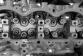 Cylinder head of an automobile engine