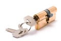 Cylinder lock with keys isolated