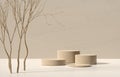 Cylinder shaped beige podiums with decorative dry tree branches