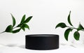 Cylindrical black podium on a white background with hard shadows and leaves. Minimal empty scene of cosmetic products presentation