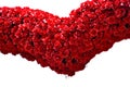 Cylindrical bouquet of red roses curved to resemble a heart as a decorative flower arch isolated over white background for Royalty Free Stock Photo