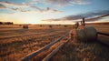 Cylindrical hay bales, neatly strewn across a vast field, stand as humble monuments to rural labor Royalty Free Stock Photo