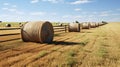 Cylindrical hay bales, neatly strewn across a vast field, stand as humble monuments to rural labor Royalty Free Stock Photo