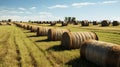 Cylindrical hay bales, neatly strewn across a vast field, stand as humble monuments to rural labor Royalty Free Stock Photo