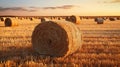 Cylindrical hay bales, neatly strewn across a vast field, stand as humble monuments to rural labor Royalty Free Stock Photo