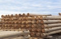 Cylindrical logs for log home Royalty Free Stock Photo