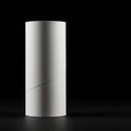 A cylindrical object made of smooth, white material stands upright against a dark Royalty Free Stock Photo