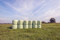 Cylindrical packs of hay stacked in the grass