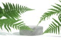 Cylindrical stone concrete eco podium on white background with hard shadows and tropical fern leaves. Minimal empty cosmetic