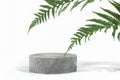 Cylindrical stone concrete eco podium on white background with hard shadows and tropical fern leaves. Minimal empty cosmetic