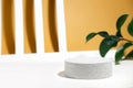 Cylindrical stone concrete eco podium on white beige background with colorful risk leaves, hard shadows in the sun, geomntric