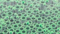 Cylindrical tubes and balls. Beautiful green color and surface texture. Good background for your motion design. 3d render