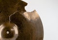 Cymbal Close-up Royalty Free Stock Photo